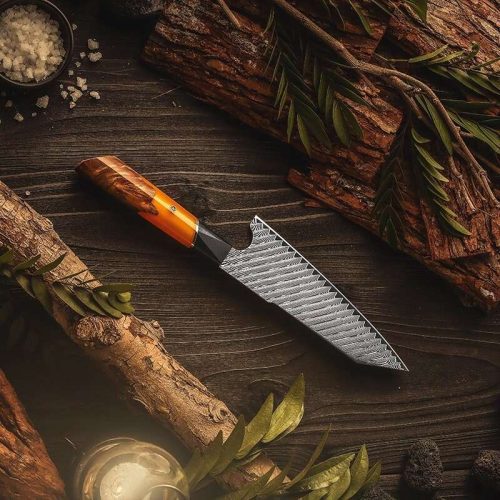 shokunin usa chef knife kotetsu vg10 damascus chef knife with exotic olive wood burl handle 41588786790613