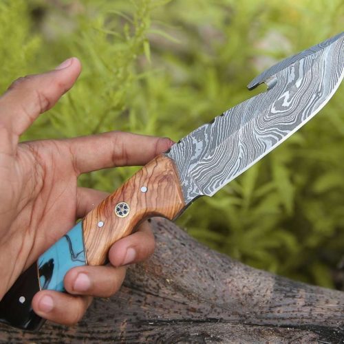 shokunin usa gut knife echelon damascus gut hook knife with exotic olive wood turquoise handle 41588765556949