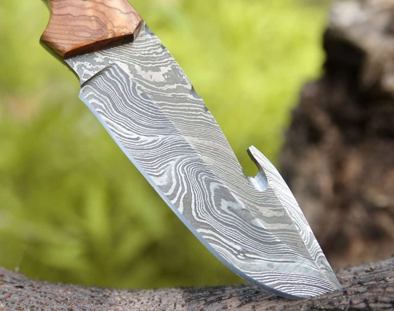 shokunin usa gut knife echelon damascus gut hook knife with exotic olive wood turquoise handle 41588769423573