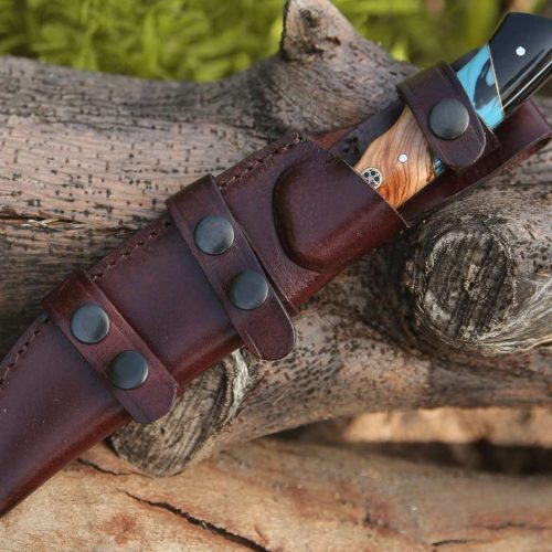 shokunin usa gut knife echelon damascus gut hook knife with exotic olive wood turquoise handle 41588769521877